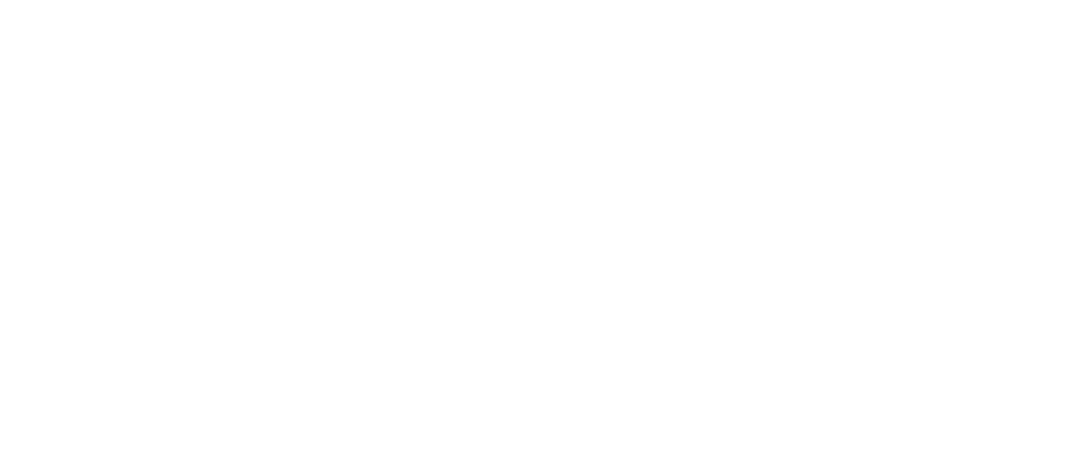 Raindance Film Festival Logo